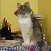 Отзыв от Алла Краснова